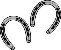 Colts 1