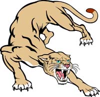 Cougar 1