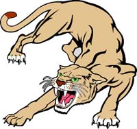 Cougar 2