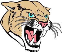 Cougar Head 2
