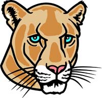 Cougar head 3
