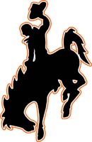 Cowboy 2