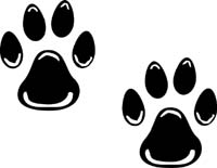 Dog Prints