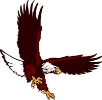 Eagle 3