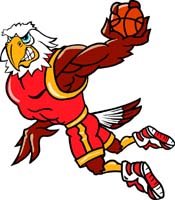 Eagle Basketball