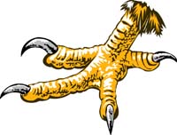 Eagle Talon