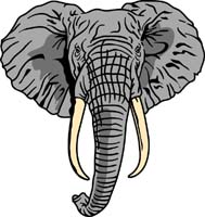 Elephant 1