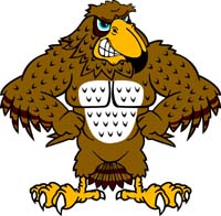 Falcon 1