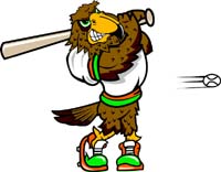 Falcon Baseball