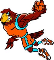 Falcon Basketball
