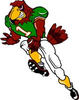 Falcon Football