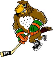 Falcon Hockey