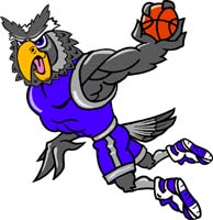 Owl Basketball