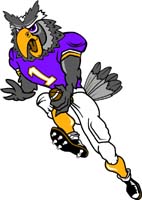 Owl Football