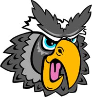 Owl Head 2