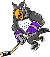 Owl Hockey