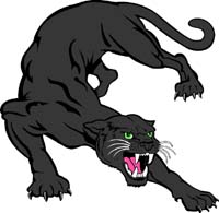 Panther 1