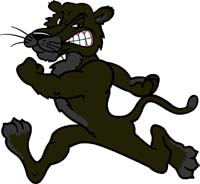 Panther 3