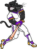 Panther Baseball