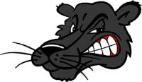 Panther Head 2