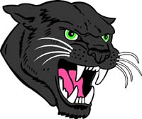 Panther Head1