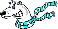 Polar Bear head 1