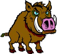 Razorback 1