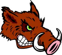 Razorback Head 1