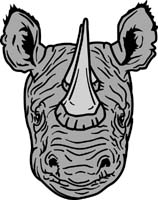 Rhino 2
