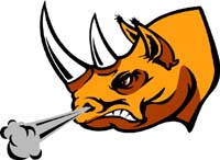 Rhino 3
