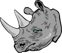 Rhino Head 1