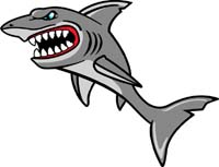 Shark 3
