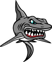 Shark2