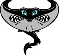 Sting Ray1