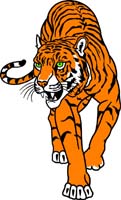 Tiger 2