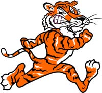 Tiger 5