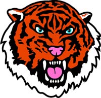 Tiger Head 2