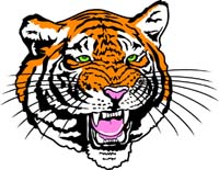 Tiger Head 6