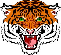 Tiger Head1