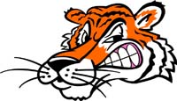 Tiger head 4