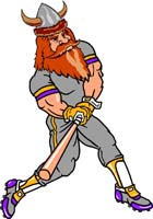 Viking Baseball