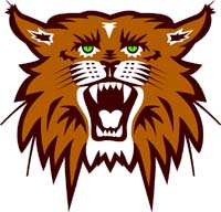 Wildcat 1
