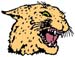 cat decal