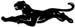 cougar decal