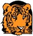 cool tiger head graphic