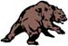 full body bear graphic