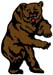 full body bear decal