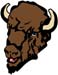 buffalo head graphic