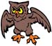 owl graphic