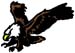 eagle graphic